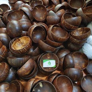 Best Selling High Quality Disposable <b>Coconut</b> <b>Shell</b> Bowl Spoon Set Customized Pattern Eco-Friendly Washable 2026 - Product Image 1