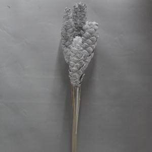 Pigne naturelle botanique longue pour décoration, pigne décorative blanche comme neige pour bouquet, artisanat, cadeau - Product Image 3