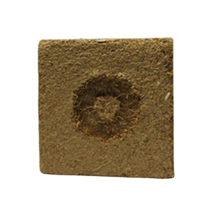 Excelente Producto Agrícola en Demanda: Cubos de Cultivo Ideales para Germinación de Semillas, Viveros y Microgreens, Fabricación en Sri Lanka - Product Image 3
