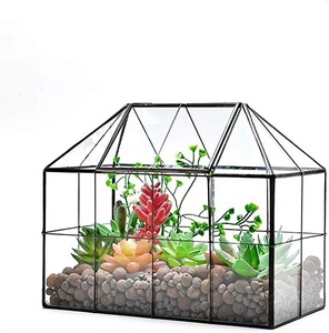 Terrario grande de cristal para interiores, perfecto para exhibir en la entrada principal y para decorar la zona de bienvenida en hogares modernos, procedente de la India. - Product Image 6