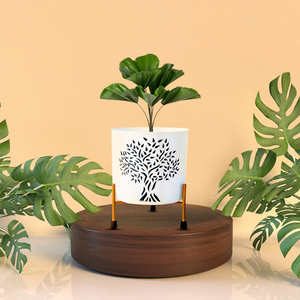 Elegante Maceta de Metal Blanca con Soporte Decorativo de Hierro, Moderna Maceta Elevada para Plantas de Interior, Suculentas y con Estilo - Product Image 1