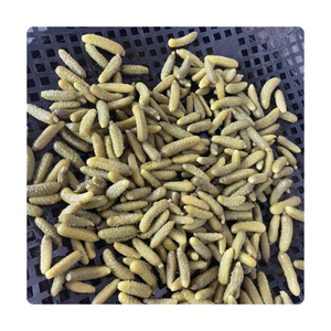 Disponible : Concombre mariné pur, sûr et croustillant en fût pour apéritif, accompagnement ou pour rehausser la saveur – Vente directe en gros, exportation. - Product Image 6