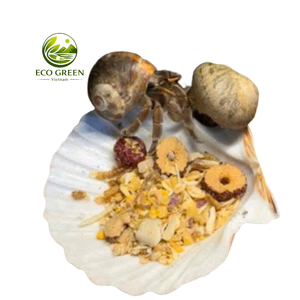 Grand bol de service en coquille Saint-Jacques Tidal Charm, style plage naturel, pour décoration artistique DIY, mariage, aquarium, Vietnam - Product Image 6