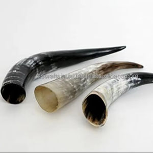 Tasse artisanale en corne d'Inde avec poignée Look traditionnel Idéal pour les amateurs de bière hydromel et de boissons froides - Product Image 1