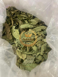 Quantité en vrac de feuilles de goyave séchées pour le séchage de tisane à la machine Qualité supérieure du Vietnam - Product Image 6