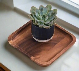 Platos Cuadrados Pequeños para Postres, Aperitivos y Bocadillos, Pulidos, Duraderos, Portátiles, Ecológicos, para Uso en Servicios de Catering - Product Image 2