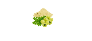 สารสกัดผลมะขามป้อมผงเกรดอาหาร MIGLOB INGREDIENTS วิตามินซี 0.99% สกัดด้วยตัวทำละลาย  อาหารเสริมสมุนไพรธรรมชาติ - Product Image 2