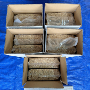 เมล็ดแคชู SANTIGO แบบขายส่ง ระยะเวลาจัดส่งรวดเร็ว - Product Image 1