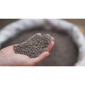 Engrais DAP de qualité supérieure, qualité agricole, pour le blé, le riz, le maïs, le coton, la canne à sucre et l'agriculture maraîchère - Product Image 1