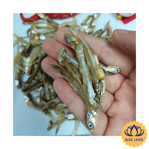 [MEILLEURE QUALITÉ] Anchois Séchés Propres 3-5cm 6-9cm Haute Qualité Faible Teneur en Glucides Emballage Sous Vide Fourniture de Fruits de Mer pour Plats Asiatiques Traditionnels - Product Image 1