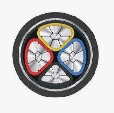 Cable Armado POLYCAB de 35 mm², 3 Hilos, Aislamiento de PVC - Product Image 2