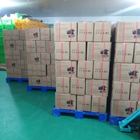 Fruits secs BAN MAI, tranches de mangue, emballage OEM, marque privée, qualité supérieure, certificats ISO HACCP, 24 mois, BM Vietnam