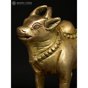 3 Inch Handmade Brass Nandi Sculpture Mount of <b>Shiva</b> for Home, Gifting and Temple Made in India - Product Image 3