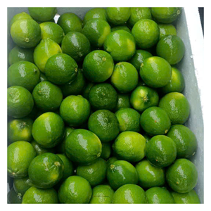 Lima congelada de Vietnam IQF conservada y empacada para exportación global utilizada en jugos de preparación culinaria y servicio de alimentos - Product Image 6