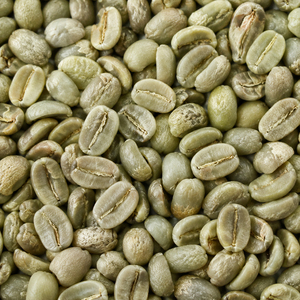 พร้อมส่งเมล็ดกาแฟอาราบิก้าพรีเมียมขายส่งจำนวนมาก คุณภาพดีที่สุดสำหรับการส่งออก - Product Image 3