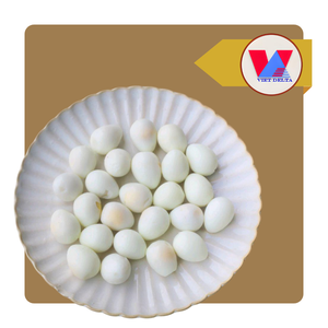 HUEVOS DE CODORNIZ ENLATADOS EN SALMURINA DE 15 OZ, PREPARACIÓN RÁPIDA PARA HOTPOT, RAMEN, SOPA, BAOZI Y CARNE BRASADA - Product Image 1