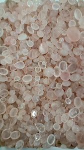 Piedras Preciosas Sueltas de Cuarzo Rosa con Corte Ovalado, Color Blanco Nieve, Rellenas de Fracturas, Provenientes de Rajasthan, para la Elaboración de Joyas - Product Image 3