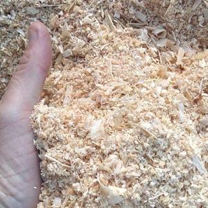 Low Dust Compressed Pine Shavings Bulk Container Load - Product Image 4