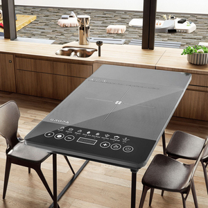 Cuisinière à induction portable étanche 2200W à brûleur unique avec plaque céramique robuste, 8 niveaux, pour usage extérieur et domestique - Vente en gros - Product Image 6