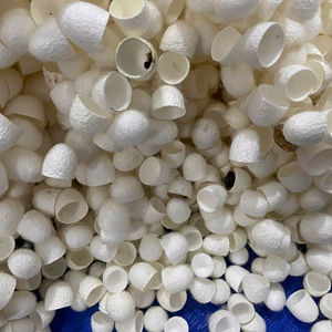 99 Gold Data - Capullos de Seda Natural de Vietnam, Calidad Premium, 100% Fibra de Seda Teñida, 2.5-3.5 cm, para Uso Estético, Venta al Por Mayor - Product Image 1