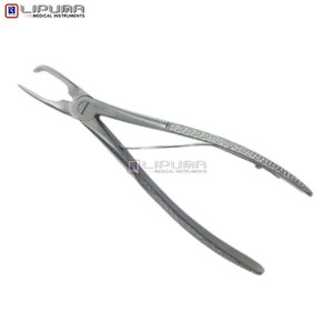 เครื่องมือถอนหินปูนสัตว์เลี้ยงแบบแมนนวล ขนาด 7 นิ้ว ทำจากสแตนเลส ปากโค้ง สำหรับดูแลทำความสะอาดช่องปาก - Product Image 5