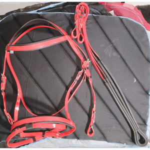 VENDO CORREAS DE PVC Bridas decorativas CABALLO BRIDA COLOR ROJO CON ACCESORIOS A PRUEBA DE ÓXIDO EN DÓLARES 8 - Product Image 1