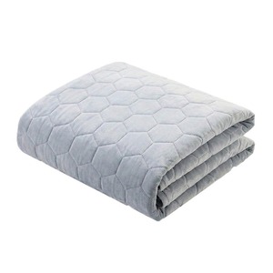 [Daejin Electronics] Tapis chauffant en fibre de carbone, coussin chauffant électrique, utilisation quotidienne, chaleur et confort toute l'année - Product Image 1