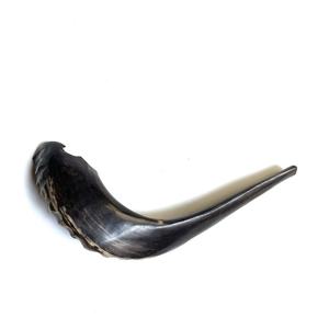 Shofar Decorativo al por Mayor, Cuerno de Carnero, Accesorio Tradicional Judío para Festividades, para Síntoglesia y Hogar, Ecológico, Musical, Pulido - Product Image 3