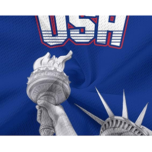 Ropa Personalizada de Alta Calidad para Equipos Nacionales, Jersey de Secado Rápido 100% Poliéster con Estampado de Bandera Americana por Transferencia Térmica, Venta al Por Mayor - Product Image 6