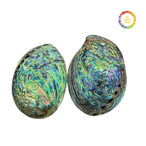 Green <b>Abalone</b> <b>Shell</b> Glossy Finish for Home Decor - Product Image 6