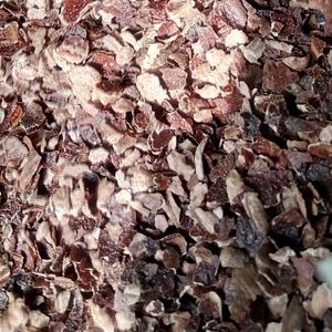 Gia Nguyen เม็ดเม็ดมะม่วงหิมพานต์สำหรับอาหารสัตว์และเครื่องนอนเวียดนาม - Product Image 1