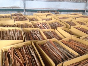 อบเชยแท่งแยกส่วน คุณภาพดีที่สุด อบเชยดิบธรรมชาติจากเวียดนาม ส่งออกได้ รับรองมาตรฐาน GAP/GMP/HACCP/KOSHER บรรจุ 20 กก. อบแห้งด้วยแสงแดด - Product Image 2