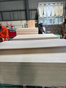 Panneau de construction en contreplaqué peuplier de qualité professionnelle 21-25 mm d'épaisseur, WPC, PVC, bambou, MDF pour revêtement mural - Vente en gros - Product Image 4