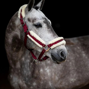 New Personalized Horse Strong Nylon <b>Halters</b> 2026 Best Fashionable and Comfortable Adjustable Horse <b>Halters</b> Cheap Price - Product Image 4