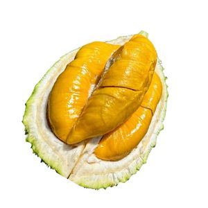 Durian Fresco de la Mejor Calidad |   Vietnam exporta frutas tropicales frescas - Product Image 1