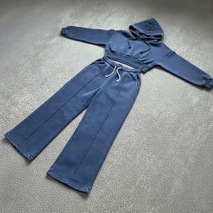 Conjunto de Top Corto con Capucha y Pantalones a Juego de Forro Polar para Mujer, Color Sólido, Logotipo Frontal, Ropa Casual para Otoño y Uso Urbano, Superventas 2026 - Product Image 6