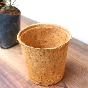 Coir pot <b>for</b> growing seedlings big natural coconut fiber <b>plant</b> pots nursery <b>basket</b> planter - Product Image 6