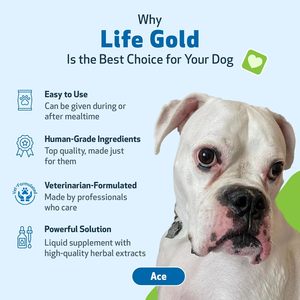 Suplemento Orgánico para Gatos de Marca Privada, Gotas Líquidas Antioxidantes Saludables y Seguras, Fórmula Multivitamínica Antiinflamatoria para el Sistema Inmunológico - Product Image 6