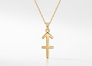 Collier Signe Astrologique Sagittaire Plaqué Or Argent 925 Pendentif Astrologique Meilleur Prix Collier Pierre de Naissance Décembre pour Femme - Product Image 1