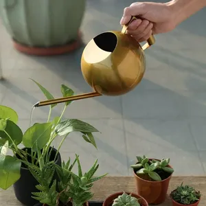 Arrosoir à long bec en métal de qualité supérieure, pièce décorative de luxe, arrosoir en métal fait main moderne pour plantes d'intérieur, aspect rustique - Product Image 4