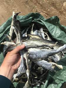 PIEL DE PESCADO COD DE ALTA CALIDAD 100% Seca Grado A Certificada BRC Sin Aditivos A GRANEL / De VIETNAM - Product Image 6