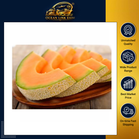 Verse Cantaloupe Meloen Zoet Sappig Fruit Premium Kwaliteit voor Groothandel en Export