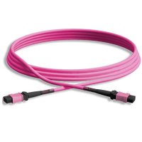 Cordon de brassage optique MPO MTP personnalisé 12-24 fibres OM3 SM LSZH POE TCP GPRS pour centre de données FTTH