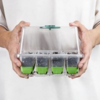 Barquettes de semis réutilisables en plastique durable à 12 alvéoles, pots de pépinière pour la germination et la croissance des plantes