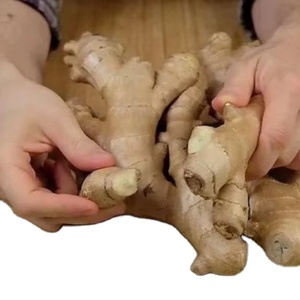 เวียดนามผลิตภัณฑ์ทางการเกษตรที่ดีขิงสดและแห้งจำนวนมากโดยตรงจากเวียดนาม - Product Image 3