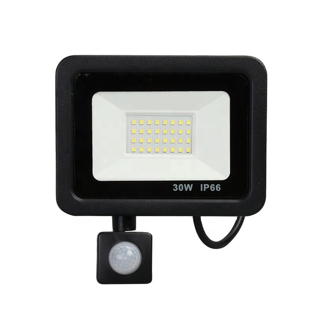 Hot Sale Ip66 10w 20w 30w 50w 100w 150w 200w Human Sensor Die Cast Aluminum Economical Led Flood Light