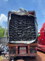 Charbon de bois de Khaya en morceaux pour grillades en plein air et barbecues familiaux