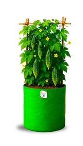 Sacs de culture robustes en tissu non tissé respirant vert 15L pour plantes, légumes et fleurs, pot de jardinage pour maison, terrasse et jardin - Product Image 2