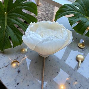 ดอกไม้ไม้โซล่าสีขาวรูปดอกคามีเลียทำมือแบบยั่งยืน ขนาด 8.5 ซม. พร้อมก้านไฟเบอร์จากพืชเซสบานียา จากประเทศไทย - Product Image 5