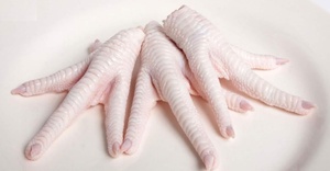 Best Quality Frozen Chicken Paws Organic Halal Certified Bulk Packed with Vitamins Fat and Wing Parts for Sale Austria - Product Image 6